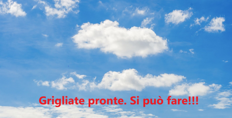 Senza titolo grigliate