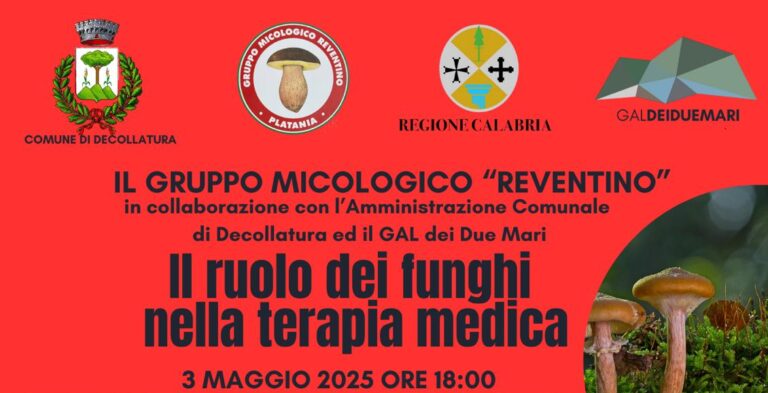 gruppo micologico