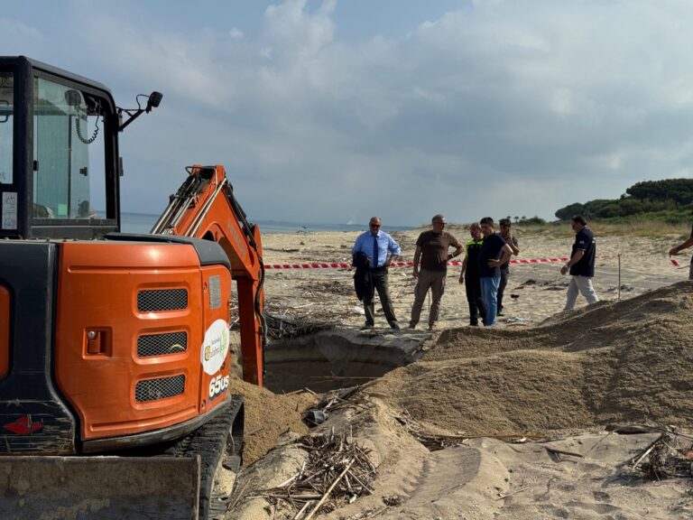 509345211_1221700123300048_3629644076837040_n