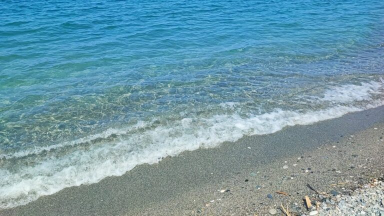 WhatsApp Image 2025-06-26 at 10.33.51