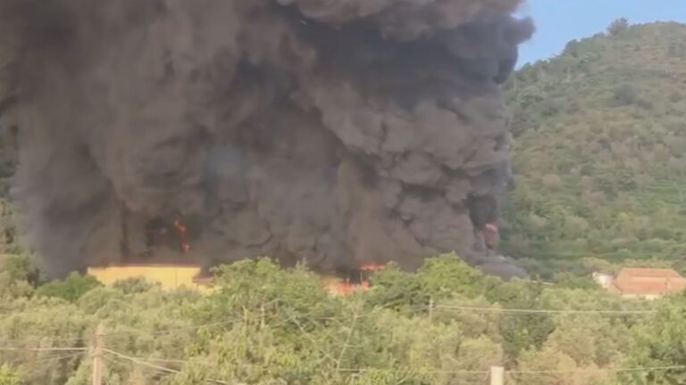 azienda odoardi00000000