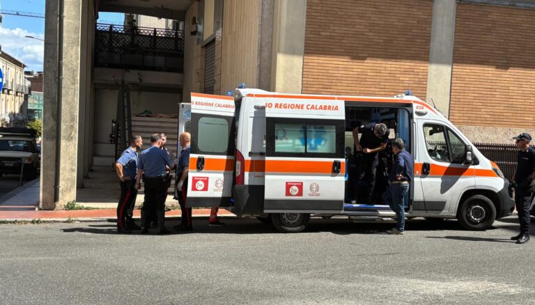 WhatsApp Image 2025-07-10 at 15.50.01