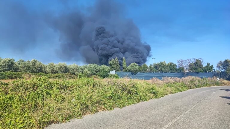 WhatsApp Image 2025-07-13 at 17.06.13