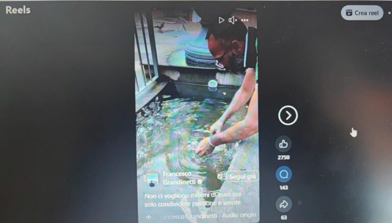 WhatsApp Image 2025-07-30 at 13.20.06