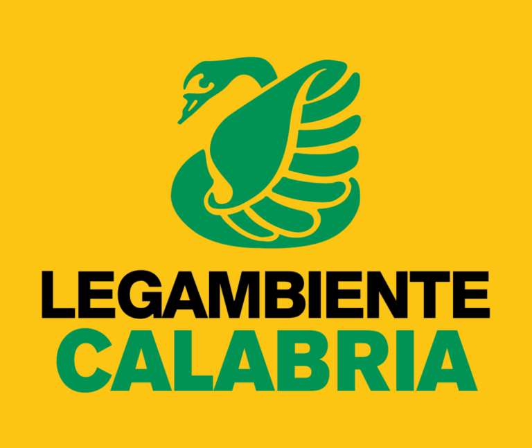 Immagine 2025-08-26 153807