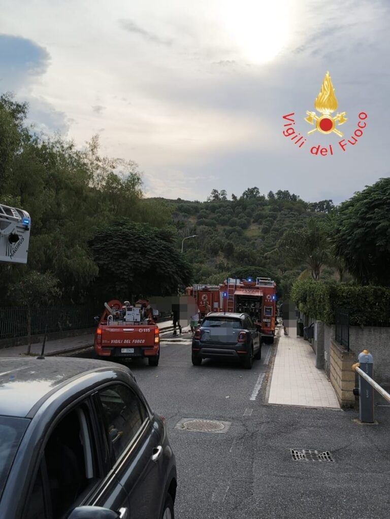 WhatsApp Image 2025-08-16 at 18.04.27