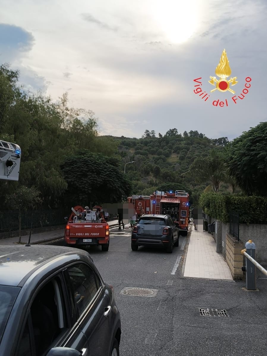 WhatsApp Image 2025-08-16 at 18.04.27