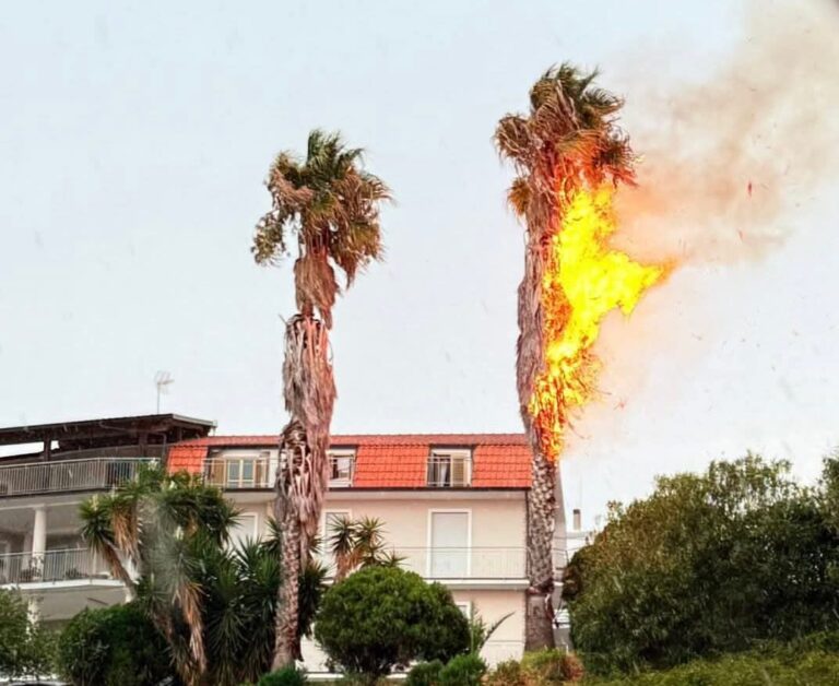 WhatsApp Image 2025-08-16 at 18.06.13