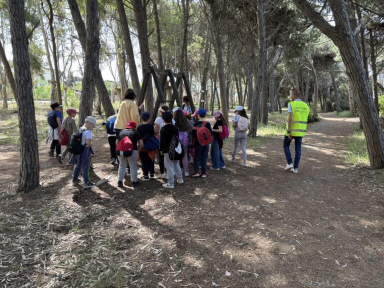 WhatsApp Image 2025-08-27 at 18.13.50