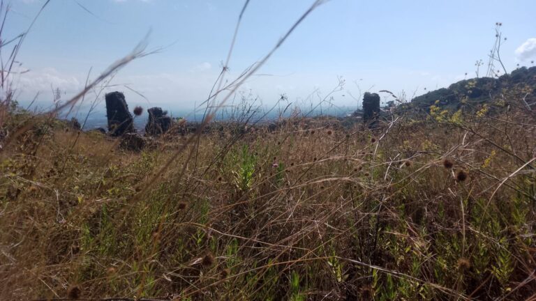 castello in evidenza