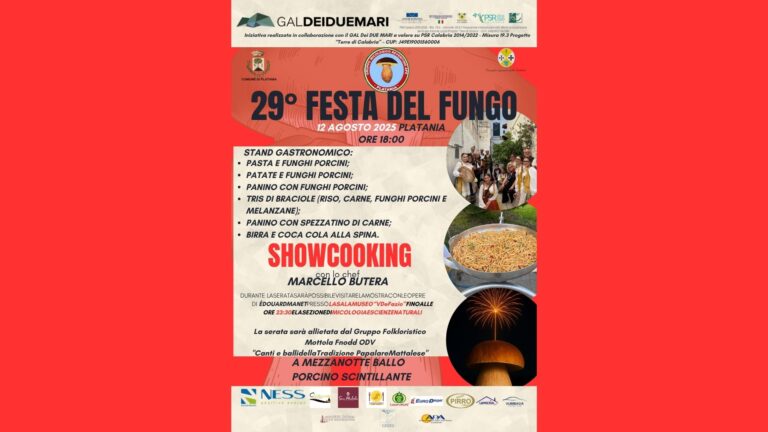 festa del fungo