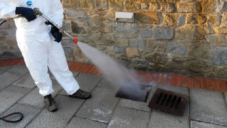 impresa-di-deblattizzazione-napoli-caserta-salerno