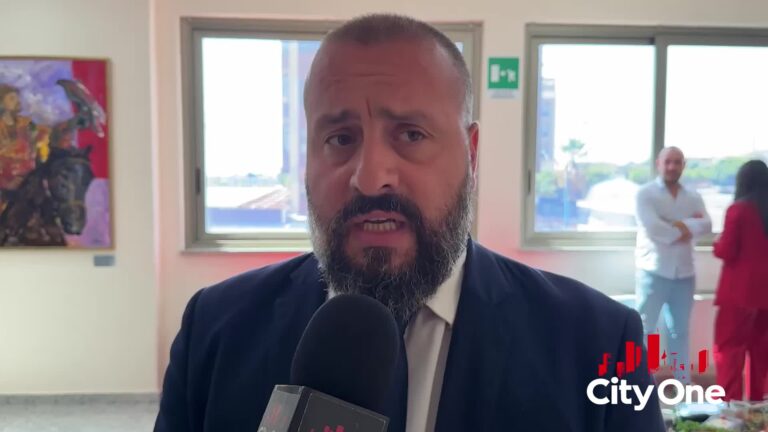 Consiglio Comunale Lamezia Terme - Mimmo Gianturco -1