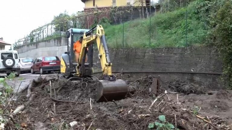 1729511378726_ruspemaida