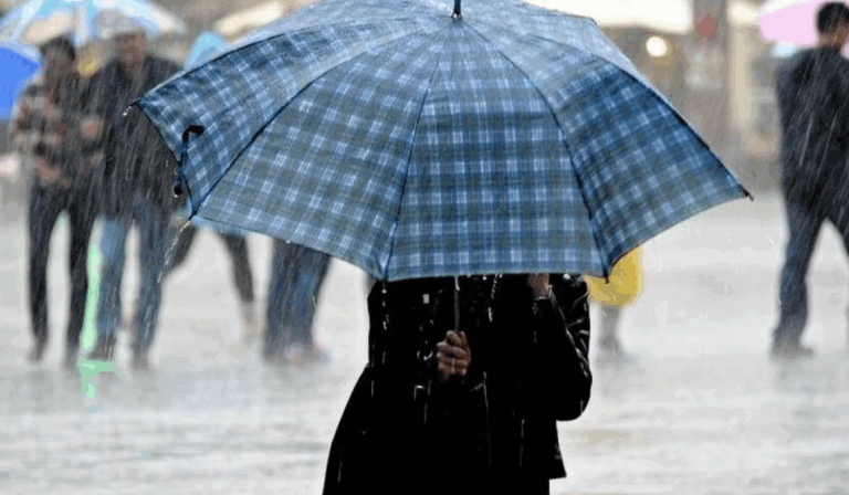 Immagine 2025-10-15 151150