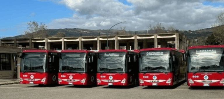 Lamezia nuovi bus