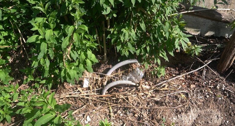 WhatsApp Image 2025-10-13 at 16.18.58