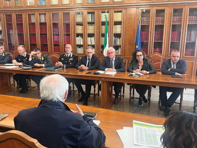 WhatsApp Image 2025-10-13 at 19.55.02