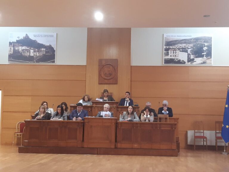 Consiglio comunale 1