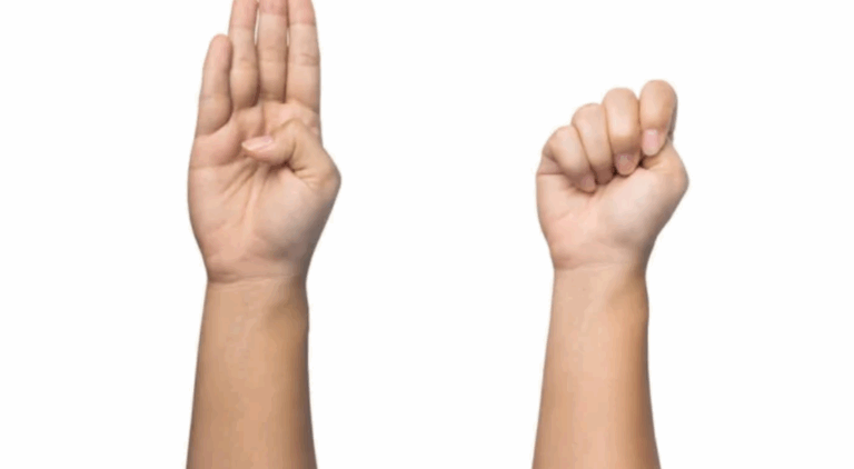 Immagine 2025-11-26 171230