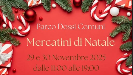 Screenshot 2025-11-14 121447