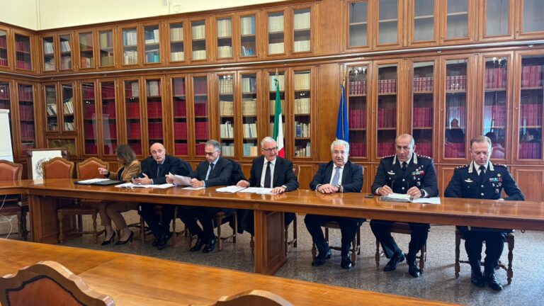 WhatsApp Image 2025-11-05 at 10.47.28