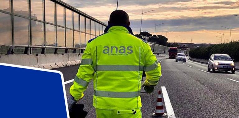 anas1