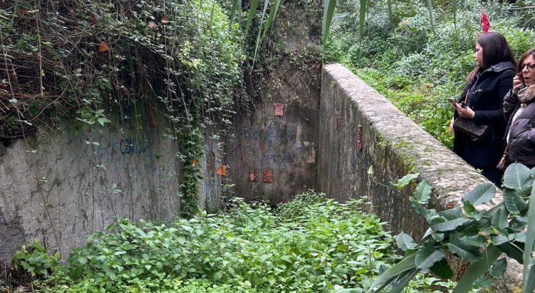 faf16ac6-3332-4c97-b10e-4184a294ef34