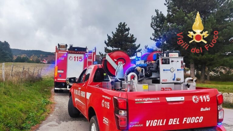 vigili 1