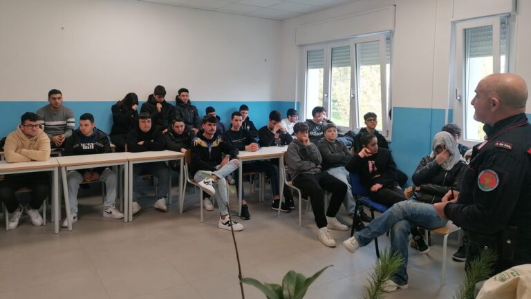 20bcba3a-b0e1-4e08-918a-81aeb45e0b78