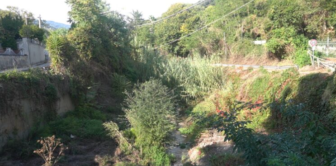 Immagine 2026-01-27 172114