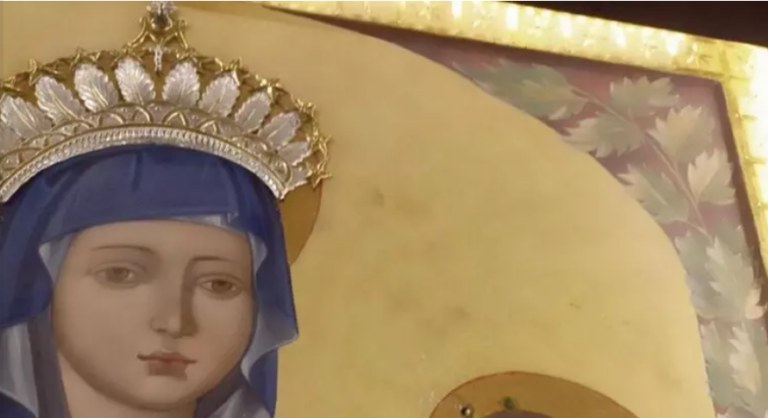 Immagine 2026-01-29 135608