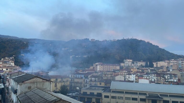 Lamezia incendio