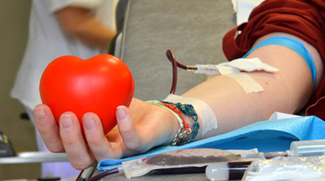 donazione-sangue-avis-168364.660x368