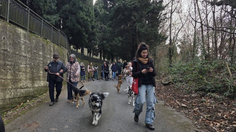passeggiata a 4 zampe