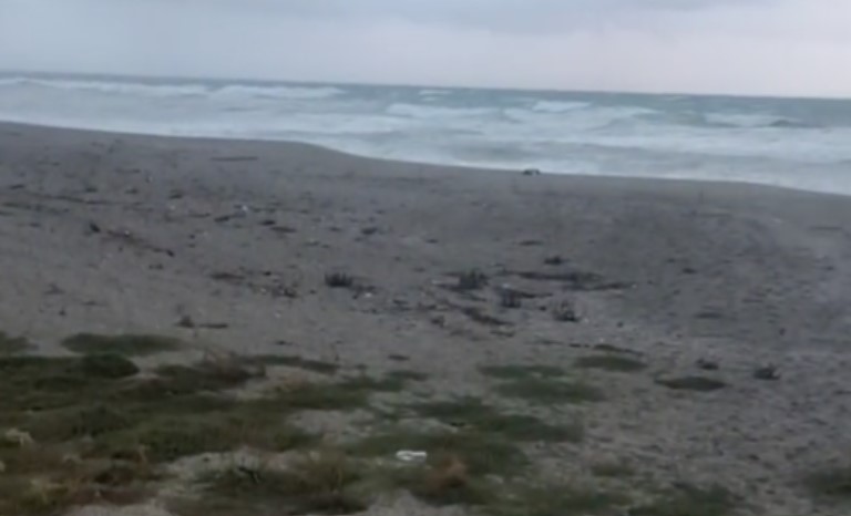 Immagine 2026-02-12 183909