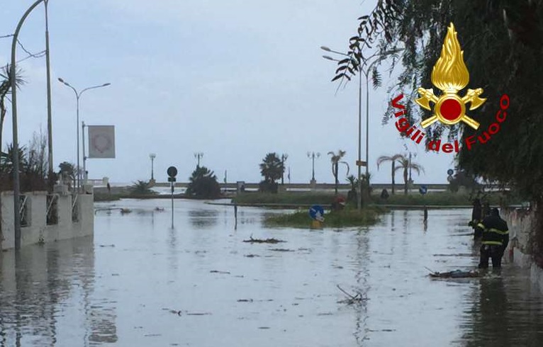 WhatsApp-Image-2018-03-21-at-11.06.41wtmk-2