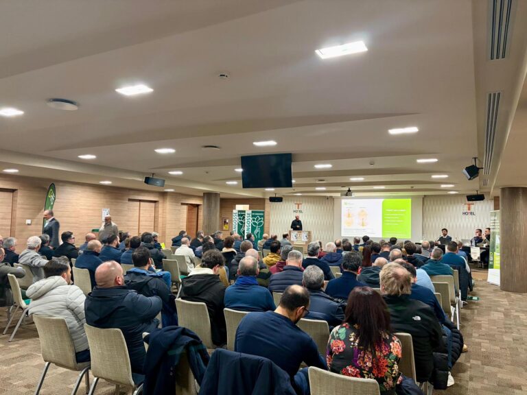 WhatsApp Image 2026-02-05 at 15.37.59