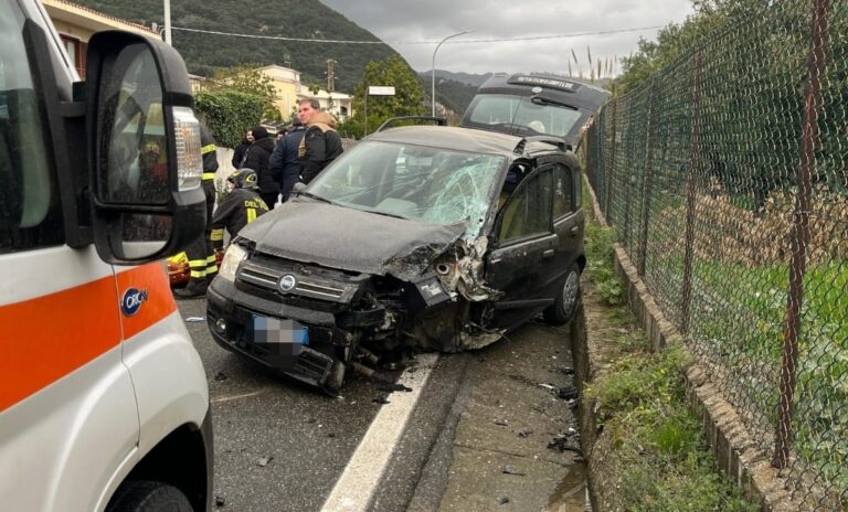 WhatsApp Image 2026-02-14 at 14.51.45