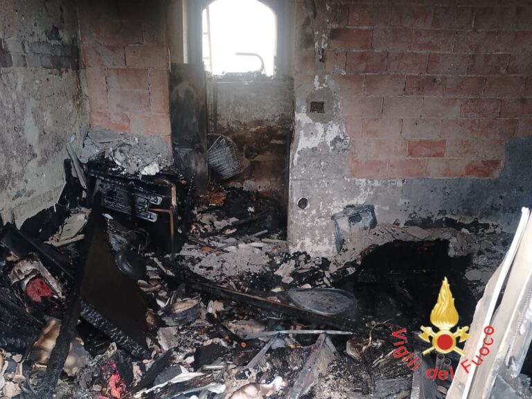 WhatsApp Image 2026-02-23 at 13.49.29