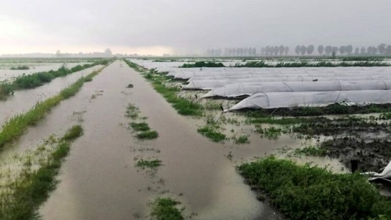 allagamento-generica