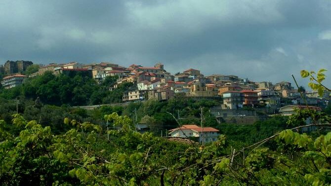 immagine maida generica