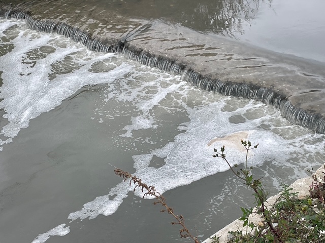 CANTAGALLI 20 MARZO 2026