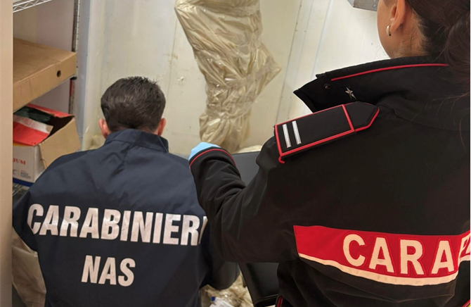 Immagine CC LAMEZIA e NAS