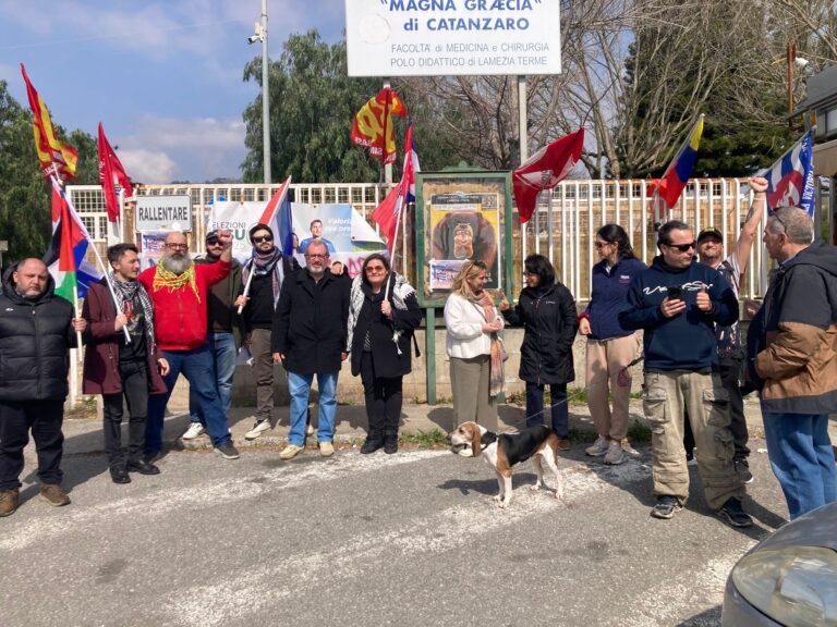 WhatsApp Image 2026-03-04 at 11.20.26