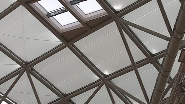 WhatsApp Image 2026-03-16 at 14.34.19