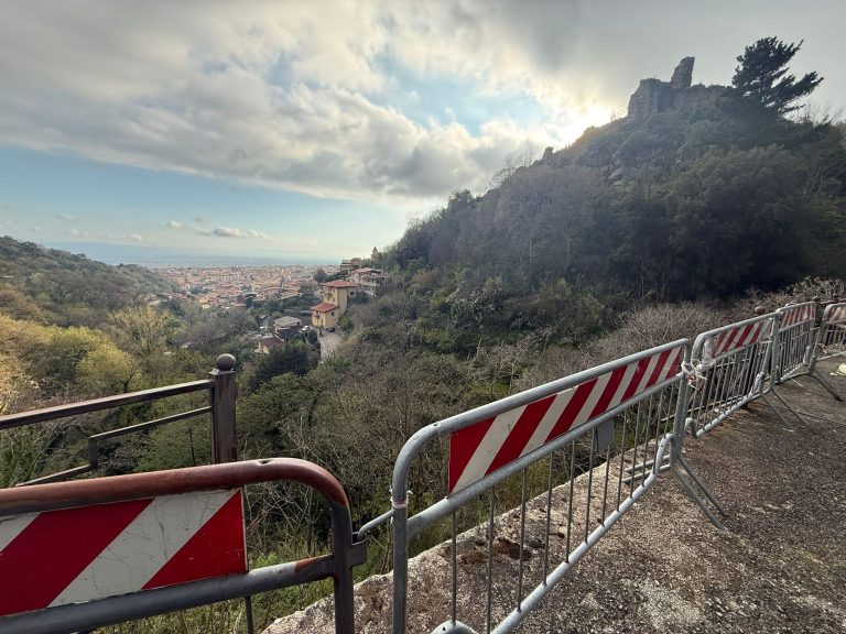 WhatsApp Image 2026-04-06 at 17.52.09