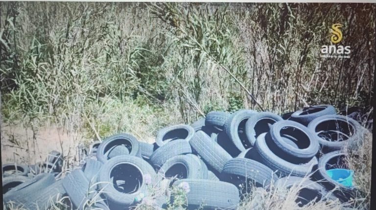 WhatsApp Image 2026-04-28 at 18.17.59