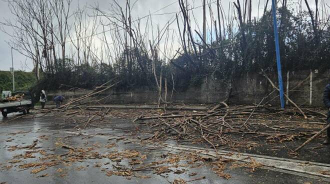 generico-gennaio-2026-354792.660x368