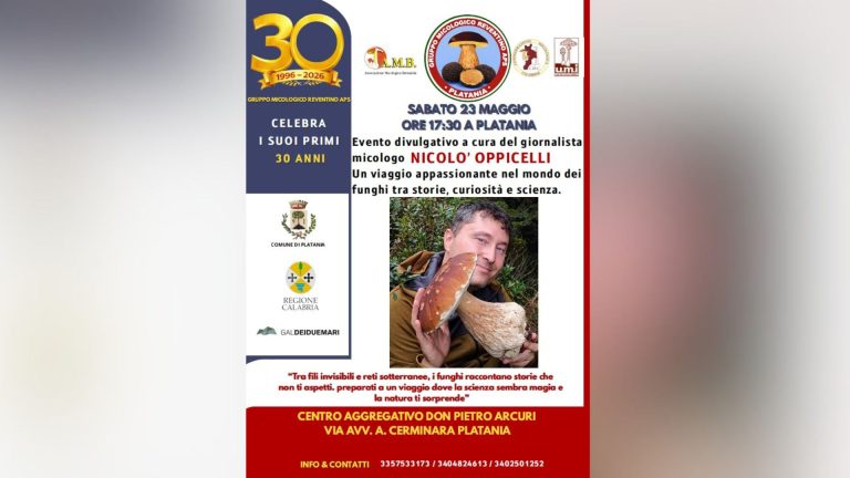 Progetto senza titolo - 2026-05-12T183633.942